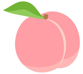 桃　もも　果物