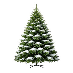 Evergreen Christmas tree covered in snow, isolated on black