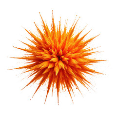 Orange spiky flower with intricate detail against black background