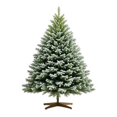 Fototapeta premium Artificial Christmas tree with flocked white accents on black background
