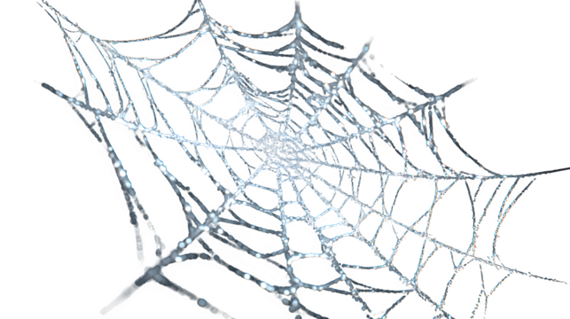 Intricate frosty spiderweb glistening with delicate ice crystals captures winter's ethereal beauty and delicate natural artistry. A Halloween design
