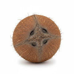 brown coconut rendered with full depth of field and perfectly isolated against a pure white background