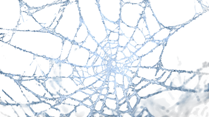 Delicate frost covered spider web glistens with winter's icy touch, a stunning macro detail of nature's intricate artistry. A Halloween design