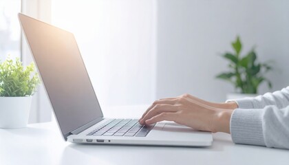 Fototapeta premium A person typing on a laptop at a bright desk with a small plant nearby.