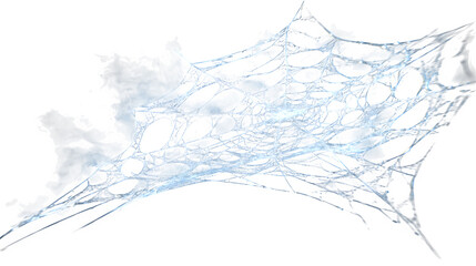 Intricate gossamer spiderweb catches light, creating a delicate, ethereal, and mysterious natural design element. A Halloween design