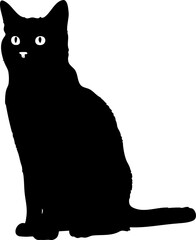 One large black shadow cat