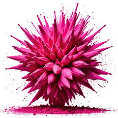 Obraz premium Abstract pink burst with spiky textures, powder explosion against black