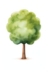 Big tree outdoors nature plant.