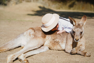 動物との触れ合い
