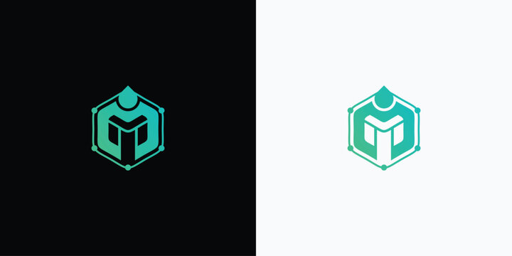 hexagon M letter logo for technological innovations and security