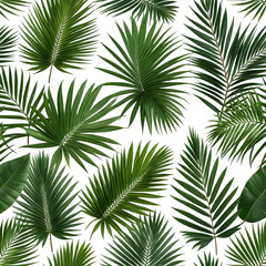 Lush green tropical palm leaves on a dark black background