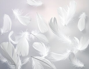 Many flying feathers 01