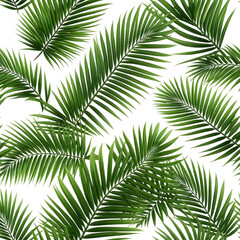 Obraz premium Lush, vibrant green palm fronds on a seamless black background