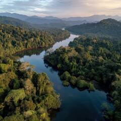 A winding river flows through dense, lush rainforest with distant mountains under a cloudy sky at sunrise or sunset