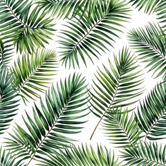 Close-up of evergreen branches on a black background, botanical texture