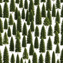 Dense, dark green forest of evergreen trees, packed together