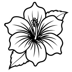 Hibiscus Radiance Line Drawing 