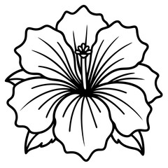 Fototapeta premium Hibiscus Radiance Line Drawing 