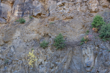 ( Quf ) Undine Falls Basalt.  near Undine Falls Trail, Grand Loop Road, Yellowstone National Park , Wyoming
