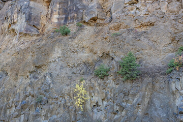 ( Quf ) Undine Falls Basalt.  near Undine Falls Trail, Grand Loop Road, Yellowstone National Park , Wyoming
