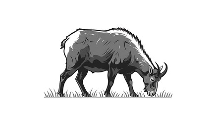 単色イラスト 白背景における草を食む山羊の静かなる姿が穏やかに描写される