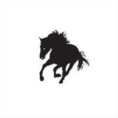 Horse, a dynamic and cool animal