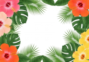 Tropical floral foliage border isolated on a transparent background
