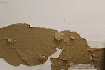 Peeled layers of the old wall