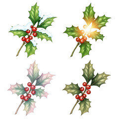 Naklejka premium Four Holly Sprigs Festive Winter Holiday Botanical Illustrations.