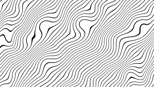 seamless zebra pattern