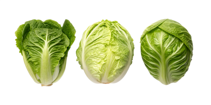 Three fresh green cabbages arranged in a row on a black background vegetable food