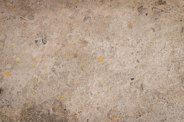 Stone or Weathered Concrete Texture: Beige or Gray Shades with Dark Spots and Ochre or Yellow Dots.