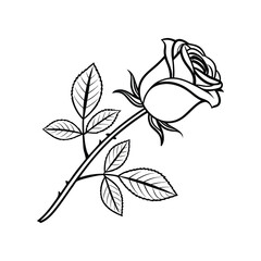 Elegant Rose Flower Outline Design.