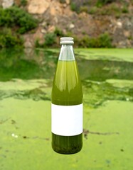 Green bottle at swamp landscape