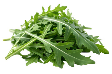 Pile of fresh green arugula leaves with white veins on black background salad greens