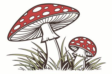 fly agaric mushrooms