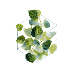 Botanical watercolor of fresh, green leaves elegantly arranged within a geometric polygon frame.