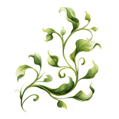 Elegant botanical swirl art with detailed watercolor leaves and tendrils illustration.