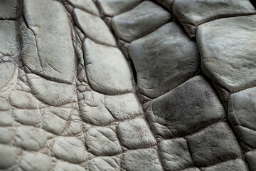 Crocodile Leather Tanned Gray Exotic Skin Material