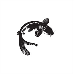 beautiful and charming koi fish