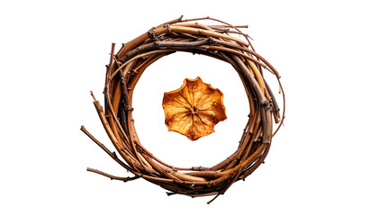 Dried flower inside a rustic grapevine wreath on black background