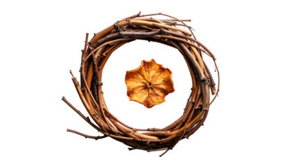 Dried flower inside a rustic grapevine wreath on black background