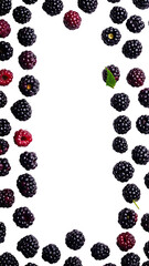 A frame of various dark berries against a black background.  