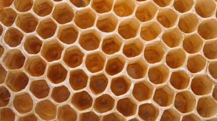Close-Up of Honeycomb: Perfect Hexagonal Cells Displaying Intricate Pattern - Nature's Geometric Precision