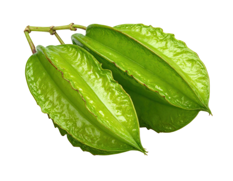 Close-up of two star fruit attached to stems.  Bright, vibrant green with visible ribbing and a glossy surface.  Isolated against a pure black background