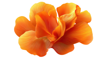 abstract orange flower vector isolated on white background