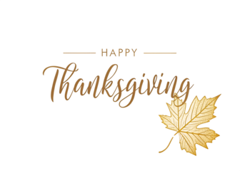 Elegant golden happy thanksgiving text with a single golden maple leaf isolated on transparent background