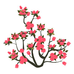 A tall rose bush with blooming bright pink roses. Vector illustration on a white background.