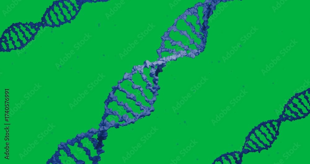 Wall mural animation of macro 3d blue dna strands spinning over floating particles on transparent background