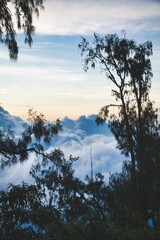 Indonesian trip